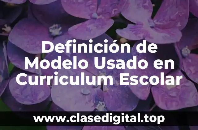Definición de Modelo Usado en Curriculum Escolar