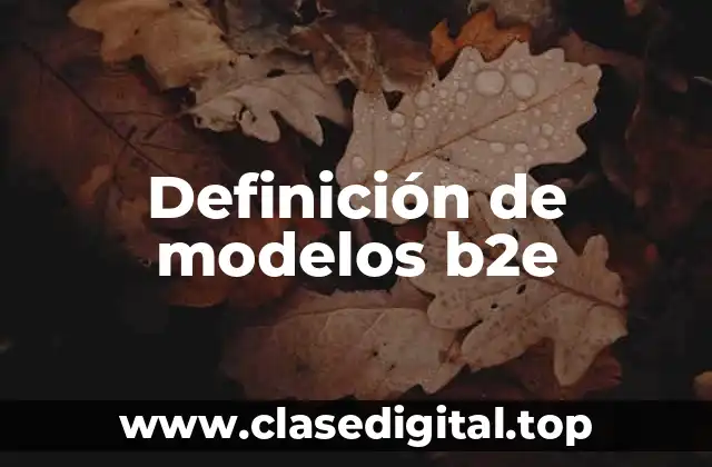 Ejemplos de modelos B2E