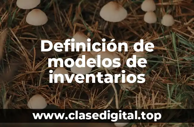 Definición de modelos de inventarios
