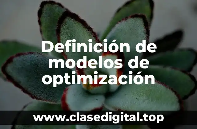 Definición de modelos de optimización