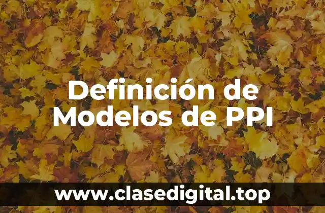 Definición de Modelos de PPI