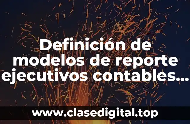 Definición de modelos de reporte ejecutivos contables y sus anexos