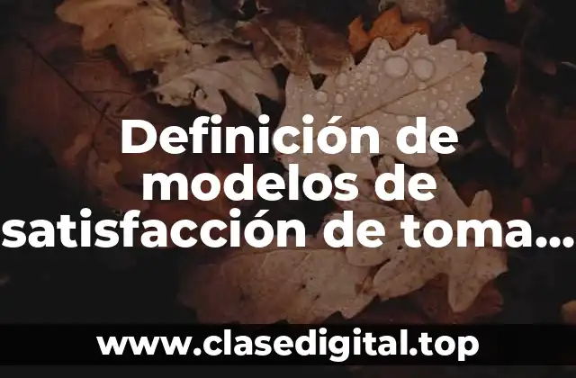 Definición de modelos de satisfacción de toma de decisiones