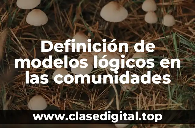 Definición de modelos lógicos en las comunidades