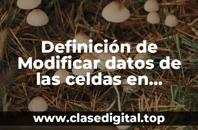 Definición de Modificar datos de las celdas en informática