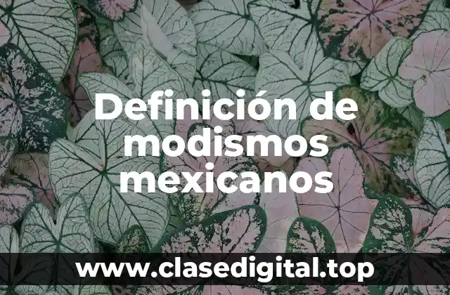 Definición de modismos mexicanos