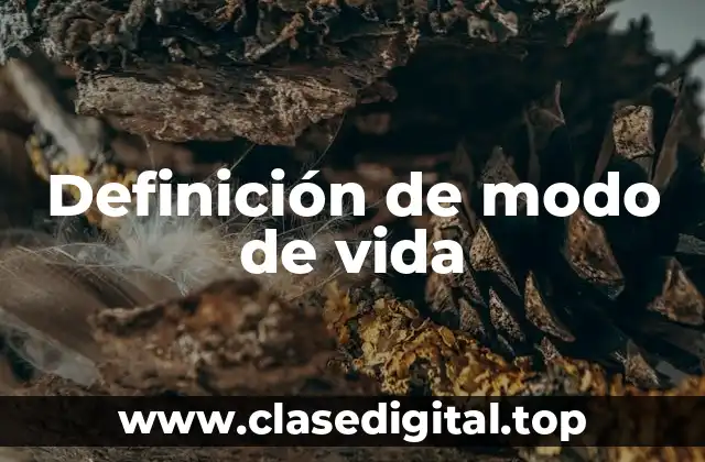 Definición de modo de vida