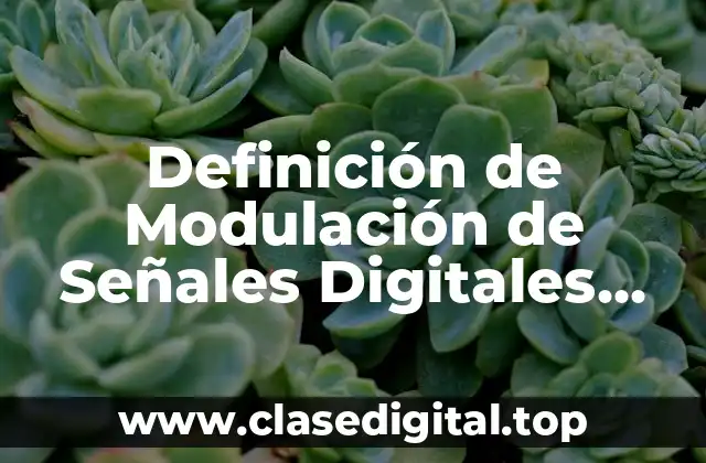 Definición de Modulación de Señales Digitales PAM