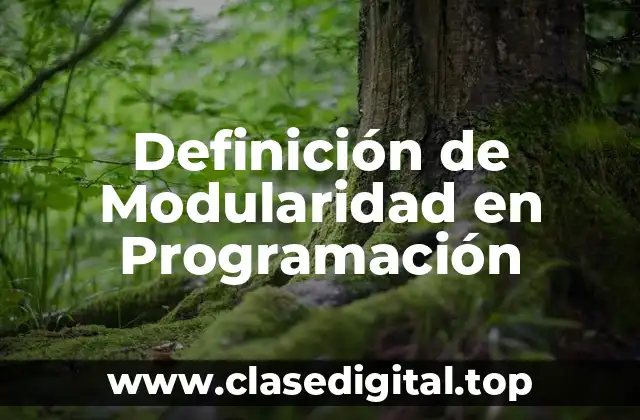 Definición Técnica de Modularidad en Programación