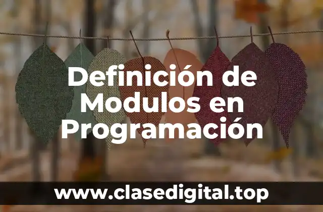 Definición de Modulos en Programación