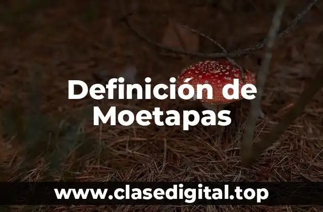 Definición de Moetapas