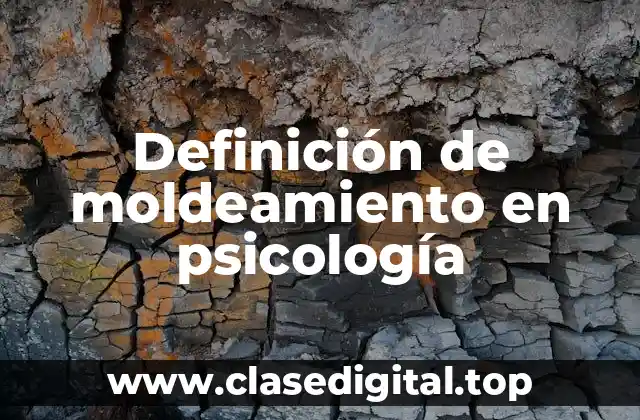 Ejemplos de moldeamiento en psicología