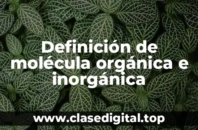 Definición de molécula orgánica e inorgánica
