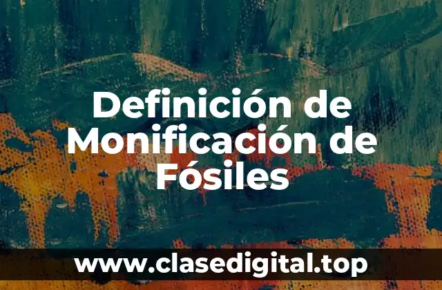 Definición de Monificación de Fósiles