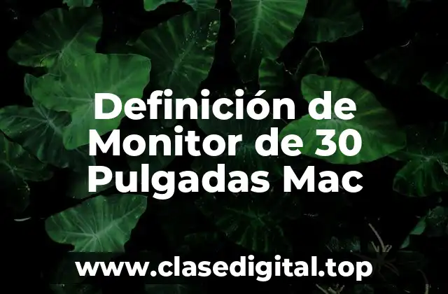 Definición de Monitor de 30 Pulgadas Mac