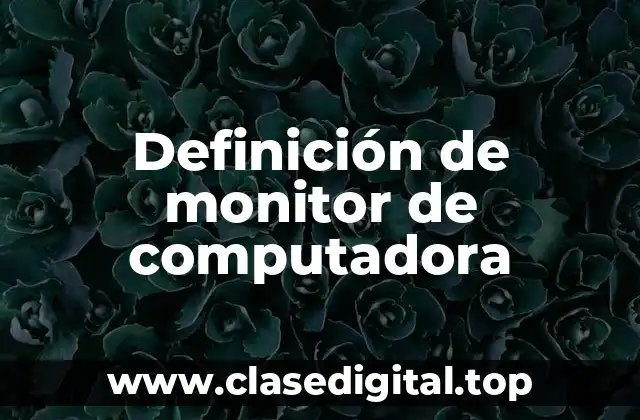 Definición técnica de monitor de computadora
