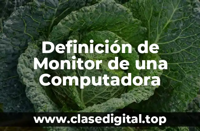 Definición de Monitor de una Computadora