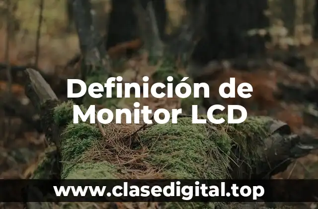Definición de Monitor LCD