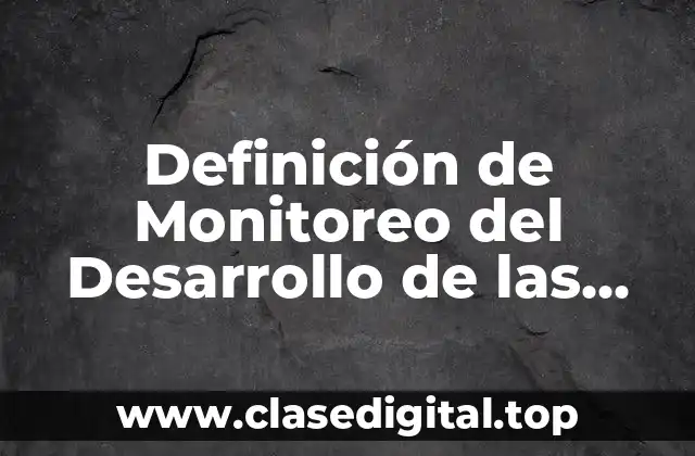Definición de Monitoreo del Desarrollo de las Funciones
