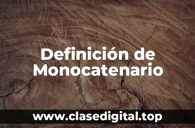 Definición de Monocatenario