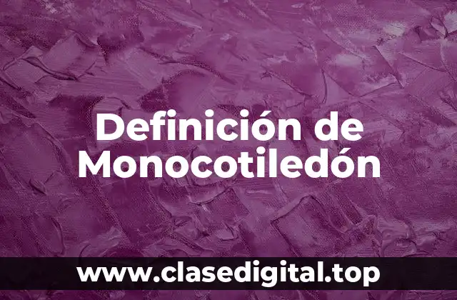 Definición de Monocotiledón