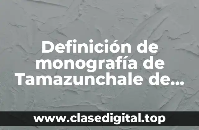 Definición de monografía de Tamazunchale de especto social y cultural