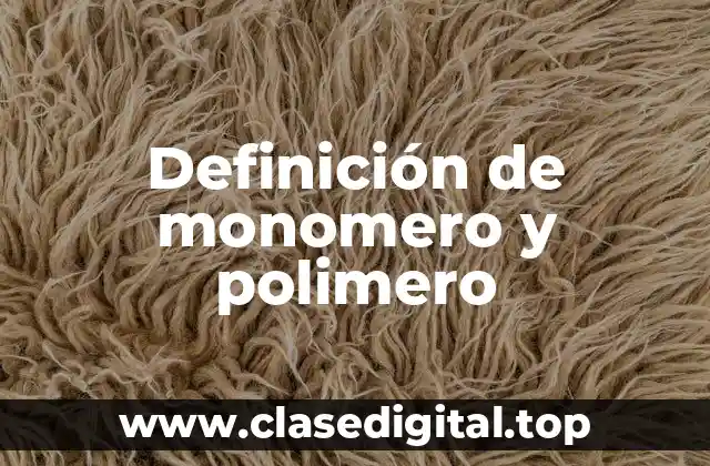 Definición de monomero y polimero