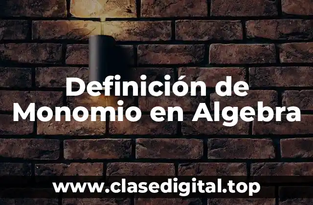 Definición de Monomio en Algebra