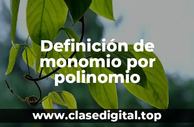 Definición de monomio por polinomio