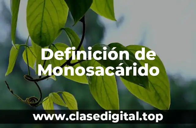 Definición de Monosacárido