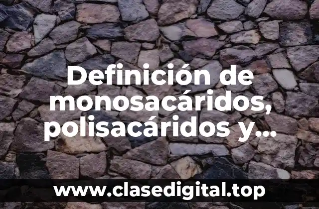 Definición de monosacáridos, polisacáridos y disacáridos