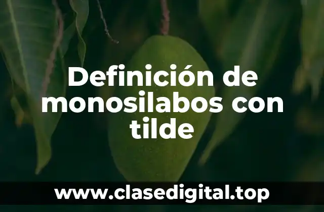 Definición de monosilabos con tilde