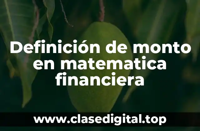 Definición de monto en matematica financiera