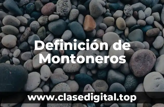 Definición de Montoneros