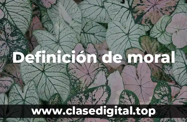 Definición de moral