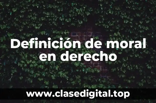 Definición técnica de moral en derecho