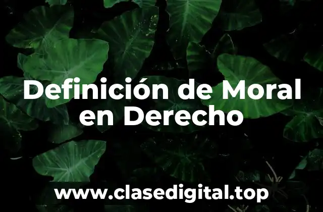 Definición de Moral en Derecho