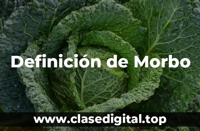 Definición de Morbo