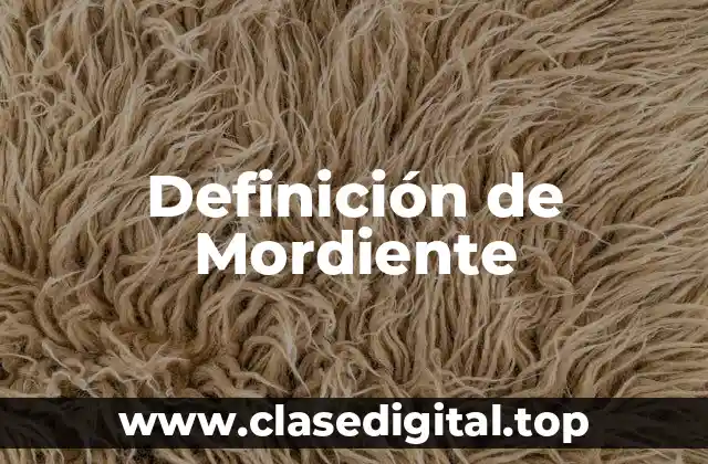 Definición técnica de Mordiente