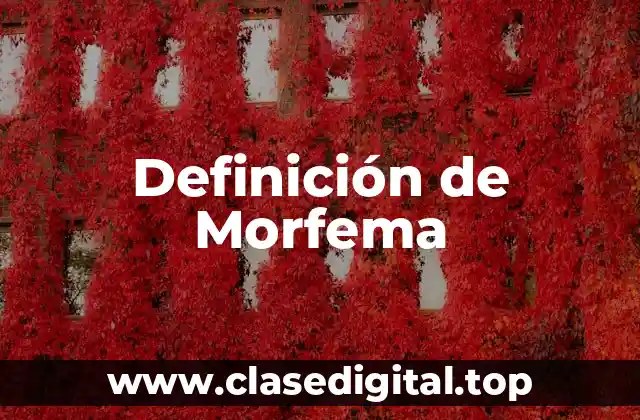 Definición de Morfema