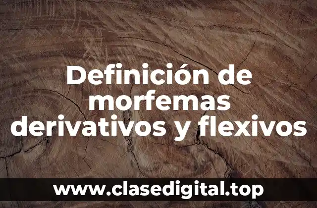 Definición de morfemas derivativos y flexivos