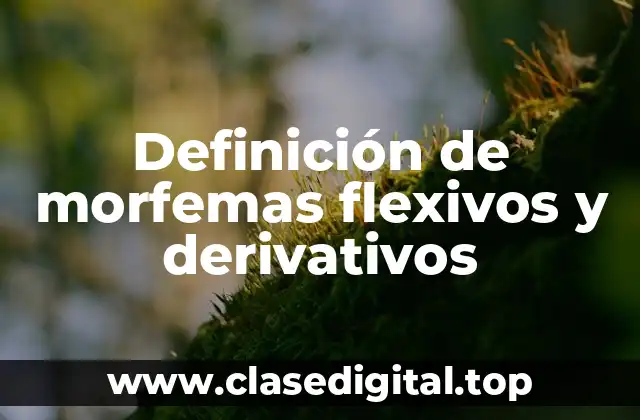 Definición de morfemas flexivos y derivativos