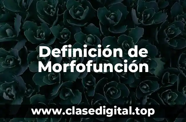 Definición de Morfofunción
