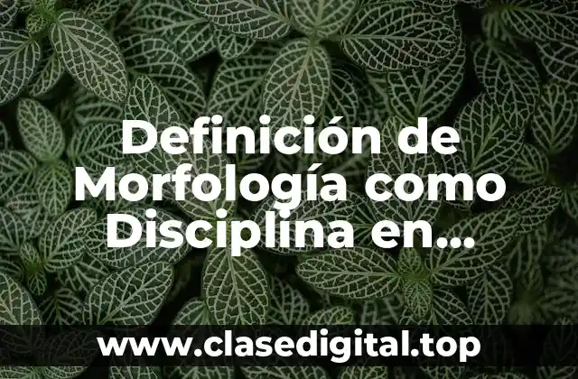 Definición de Morfología como Disciplina en Medicina