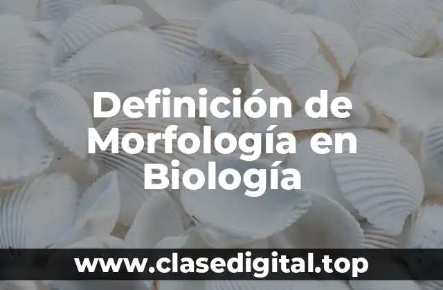 Definición Técnica de Morfología en Biología