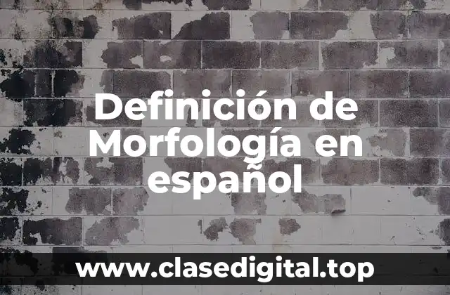 Definición de Morfología en español