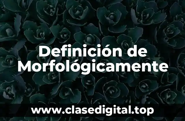 Definición de Morfológicamente