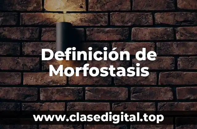 Definición de Morfostasis
