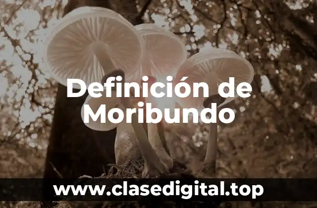 Definición de Moribundo