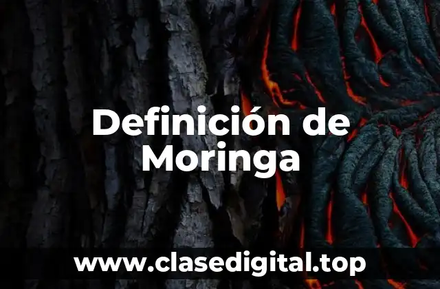Definición de Moringa